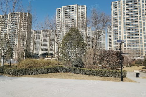 中新国际城综合评测 优点、不足、周边中介及物业管理分析